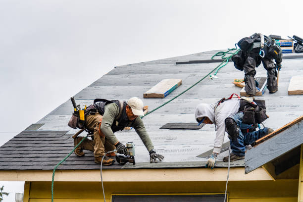 Professional Roofing technician working in Hampton, IA